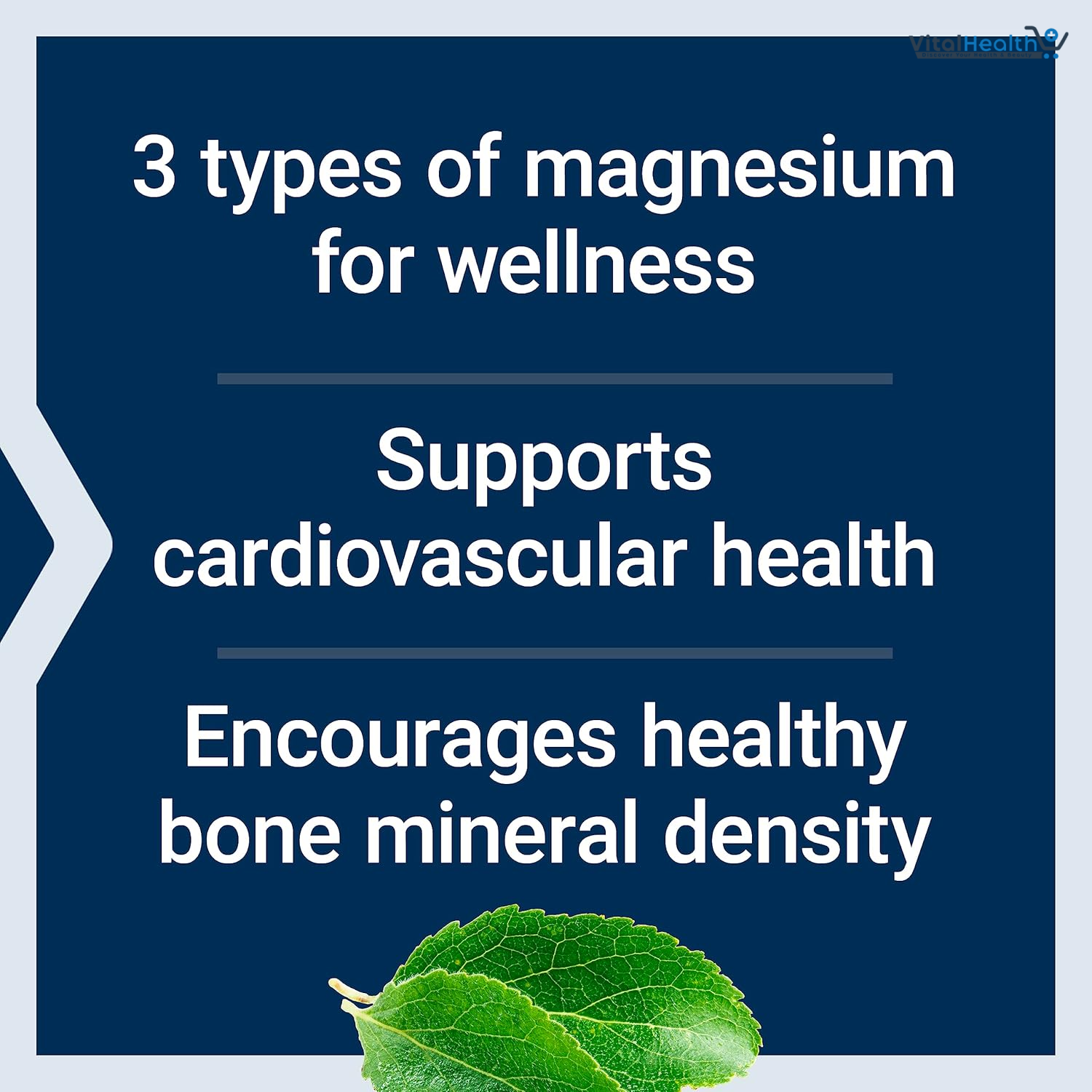 Life Extension Magnesium Caps, 500 mg, Magnesium Oxide, Citrate, and Succinate, Heart Health, Healthy Bones, Metabolism Support, 100 Vegetarian Capsules thumbnail 2