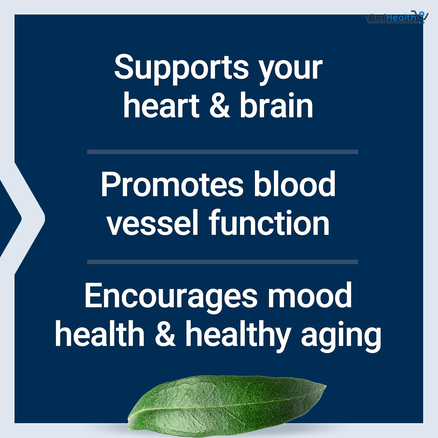 Life Extension Super Omega-3 EPA/DHA Fish Oil, Sesame Lignans &amp; Olive Extract – Heart Health, Brain Health, Inflammation Health Support, Gluten-Free, Easy to Swallow, Non-GMO, 240 Softgels thumbnail 2