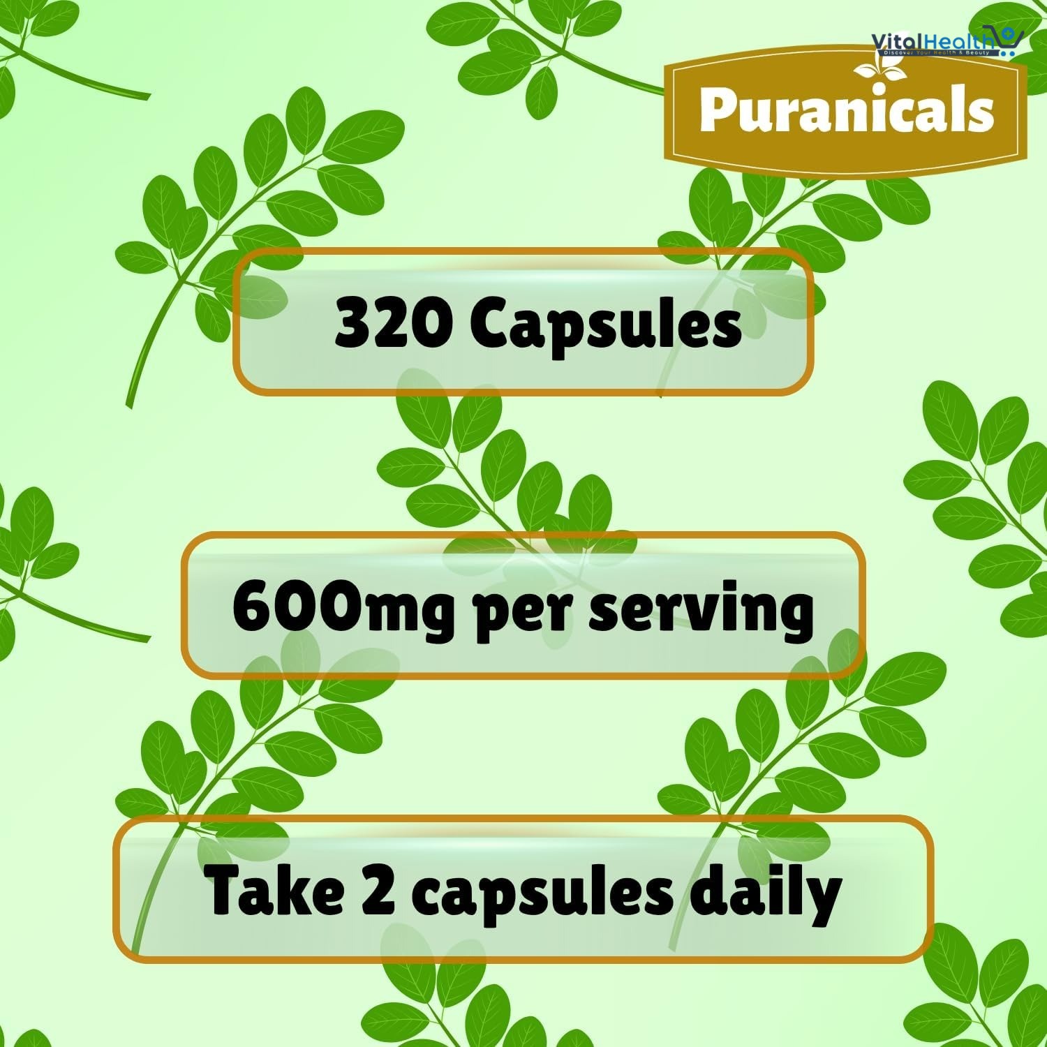 Moringa Premium 320 Capsules Non GMO and Gluten Free | Herbal Supplement | 600 mg Per Serving | Made with Herb Moringa Leaf Powder thumbnail 4