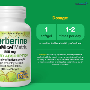 Natural Factors Berberine LipoMicel Matrix - Daily Supplement Supports Metabolic Health - Formula Supports General Health - Gluten-Free &amp; Dairy-Free - 60 Liquid Softgels (60 Servings)