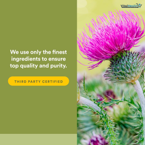 NATURAL FACTORS Milk Thistle Extract 250 Mg, 90 CT